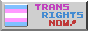 Trans Rights Now! (link)